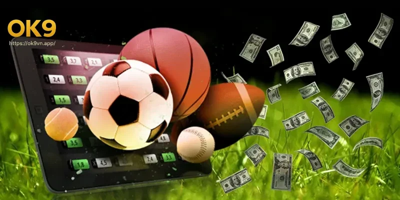 cac-loai-hinh-ca-cuoc-the-thao-tai-the-thao-ok9 Các loại hình cá cược thể thao tại thể thao Ok9