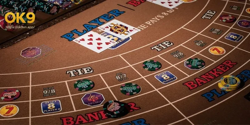 Hỗ trợ từ cộng đồng và chuyên gia tại Ok9