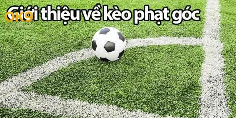 Phân tích phong cách thi đấu và đội hình